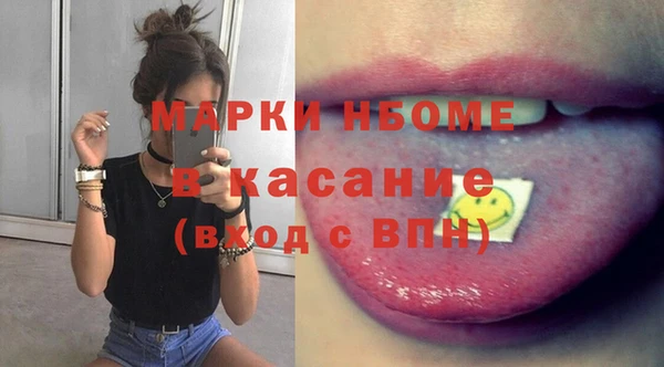 индика Верея