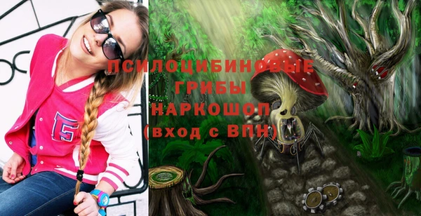 ПСИЛОЦИБИНОВЫЕ ГРИБЫ Бородино