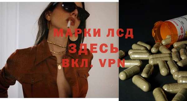 индика Верея