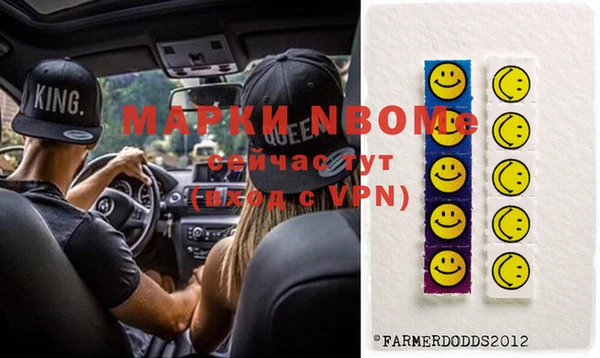 индика Верея