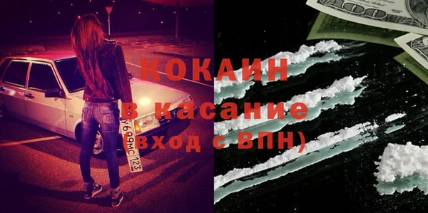 ПСИЛОЦИБИНОВЫЕ ГРИБЫ Бородино