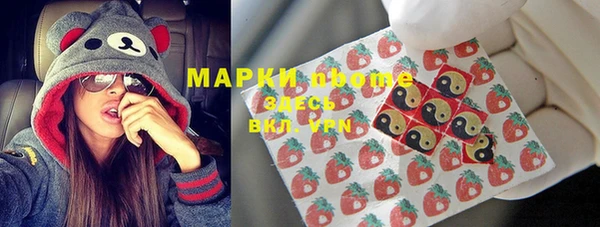 индика Верея